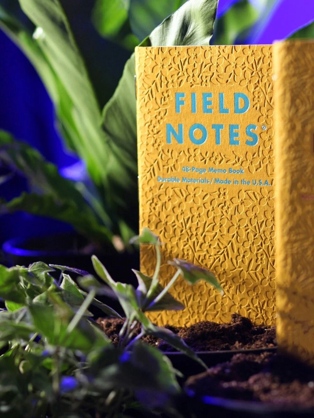 FIELD NOTES 'Signs of Spring' 3pack Memo Book - Price Per One